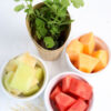 Melon Fruit Cups - Set 4 - Image 8
