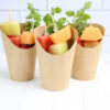 Melon Fruit Cups - Set 4 - Image 4