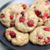 Gluten Free Cranberry Oatmeal White Chocolate Cookies - Set 2