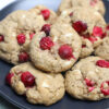 Gluten Free Cranberry Oatmeal White Chocolate Cookies - Set 4