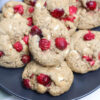 Gluten Free Cranberry Oatmeal White Chocolate Cookies - Set 4 - Image 3