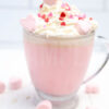 Strawberry White Hot Chocolate - Limited PLR - Image 4